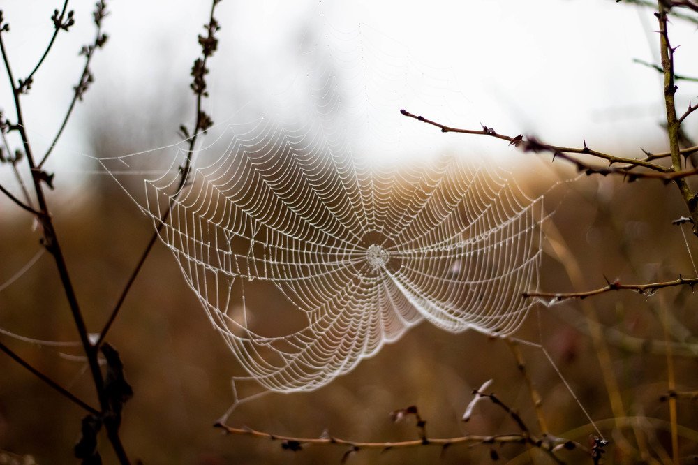 Photograph by Мари Полищук