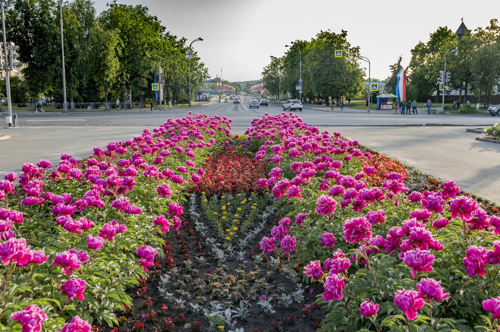 Photograph by Константин Великопольский