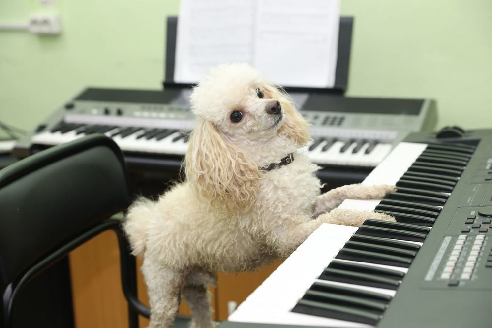Photograph by Фёдор Захаров