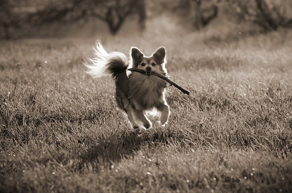 Photograph by Сергей Шляга