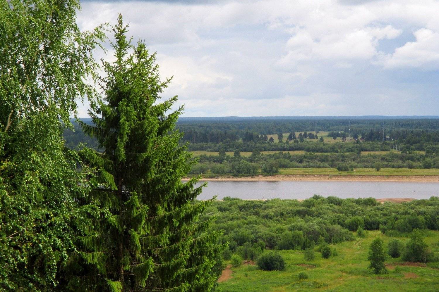 Зелень лета