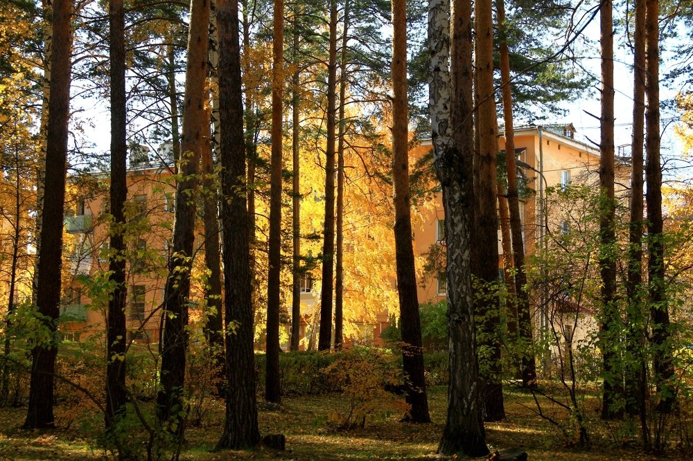 Photograph by Эдуард Петруша