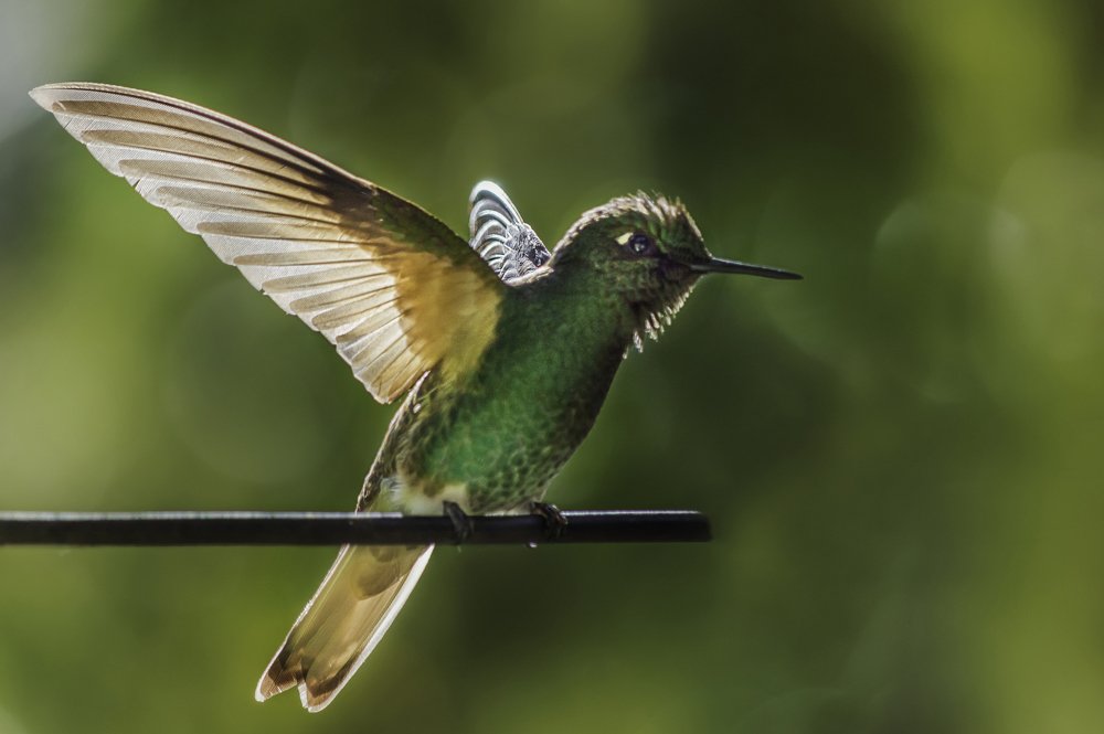 Photograph by Andrius La Rotta