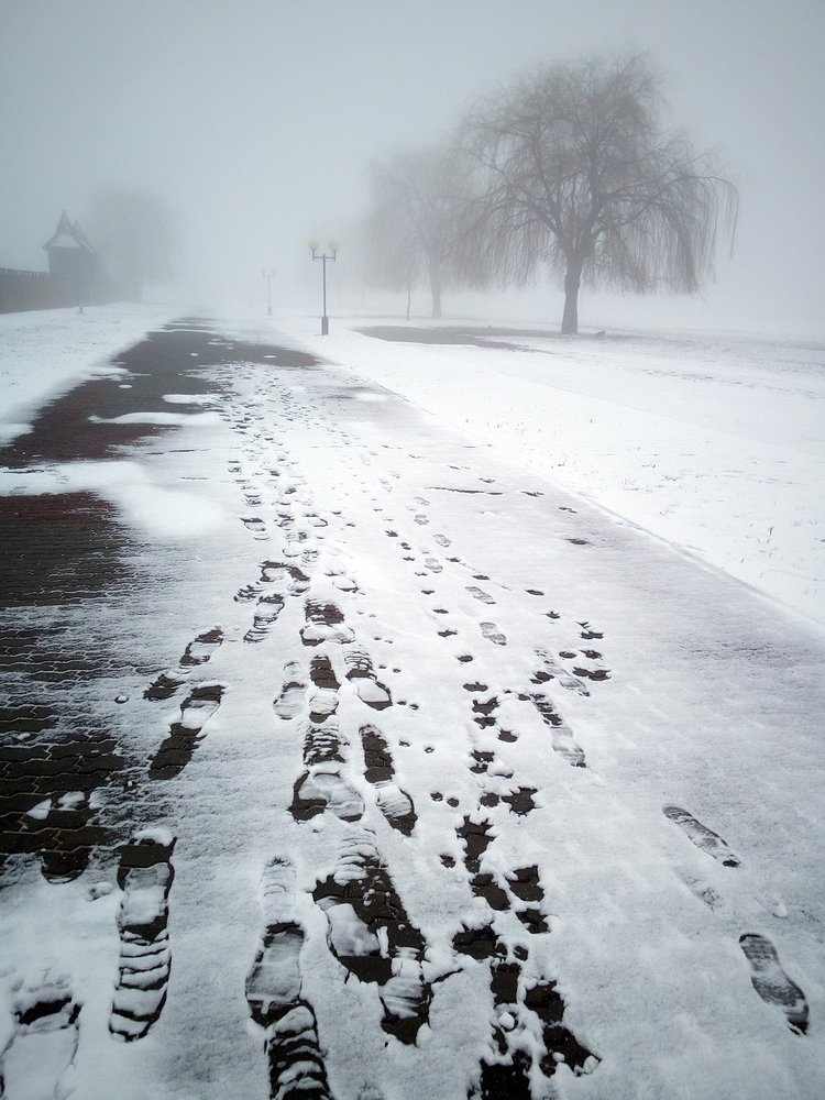 Photograph by Сергей Шляга