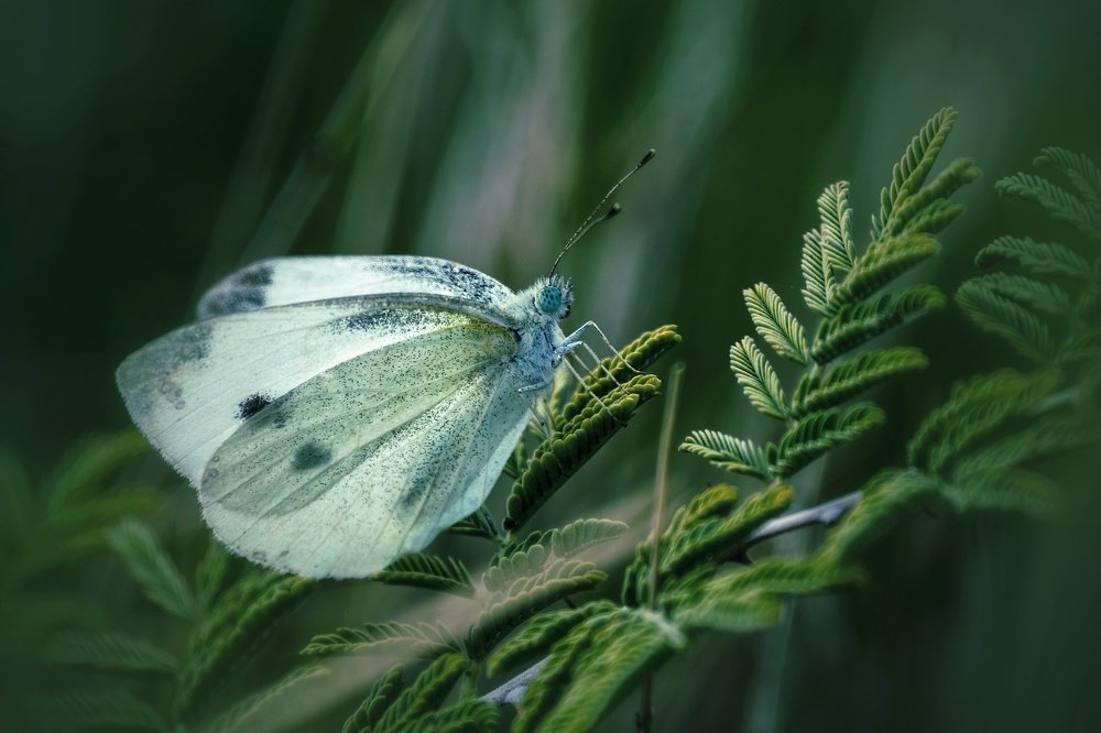 Photograph by Vahid Yavari