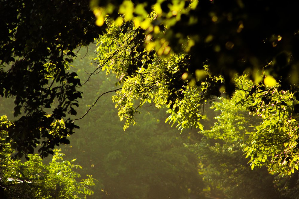 Photograph by Владимир Кульбит
