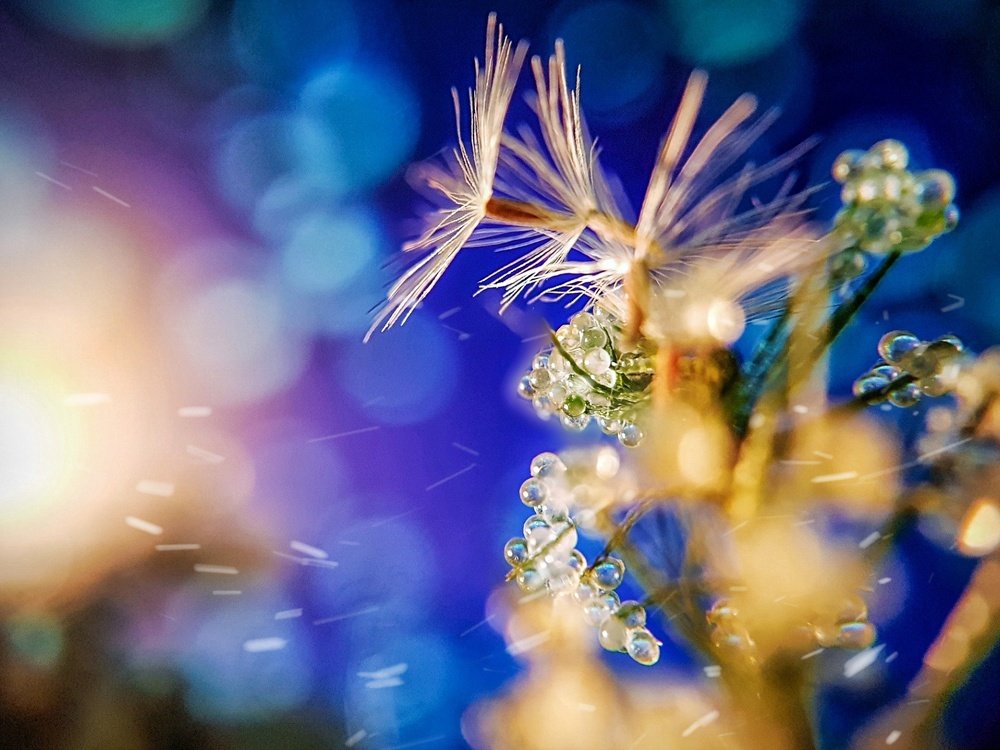 Photograph by Елена Парфенова