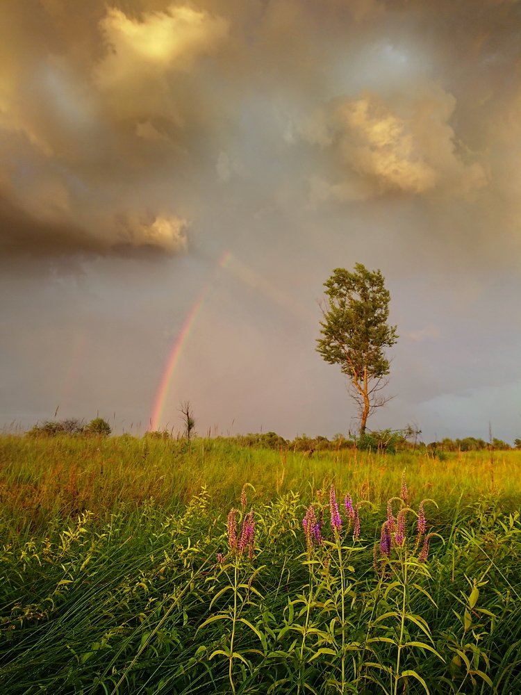 Photograph by Сергей Шляга