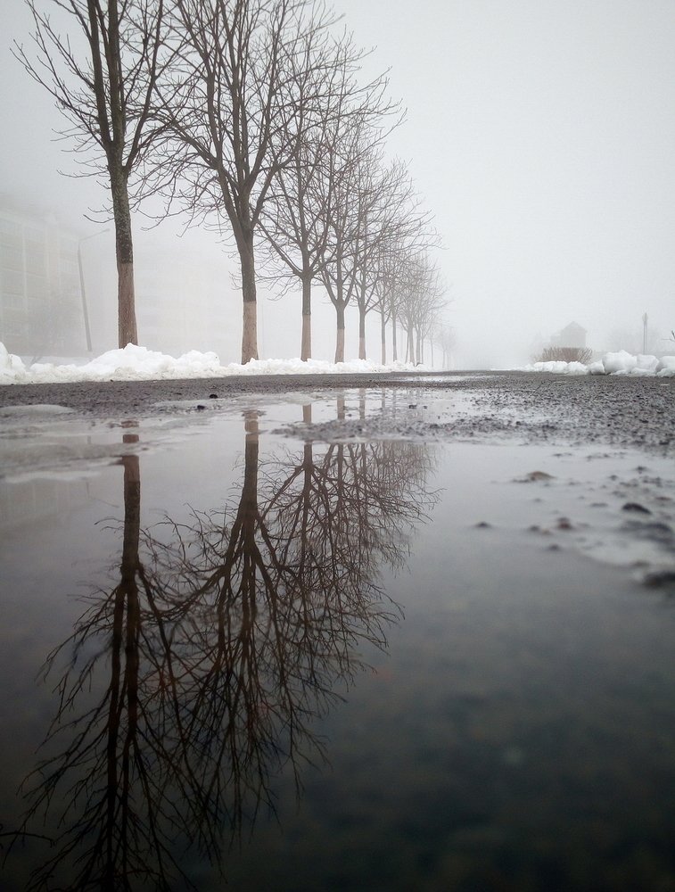 Photograph by Сергей Шляга