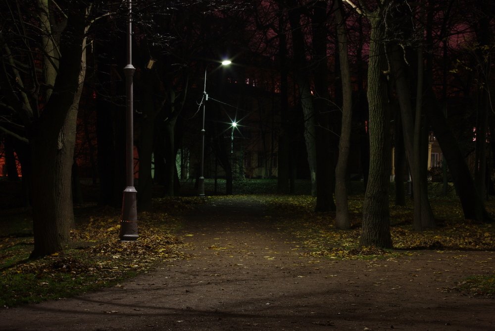 Ночь улица фонарь