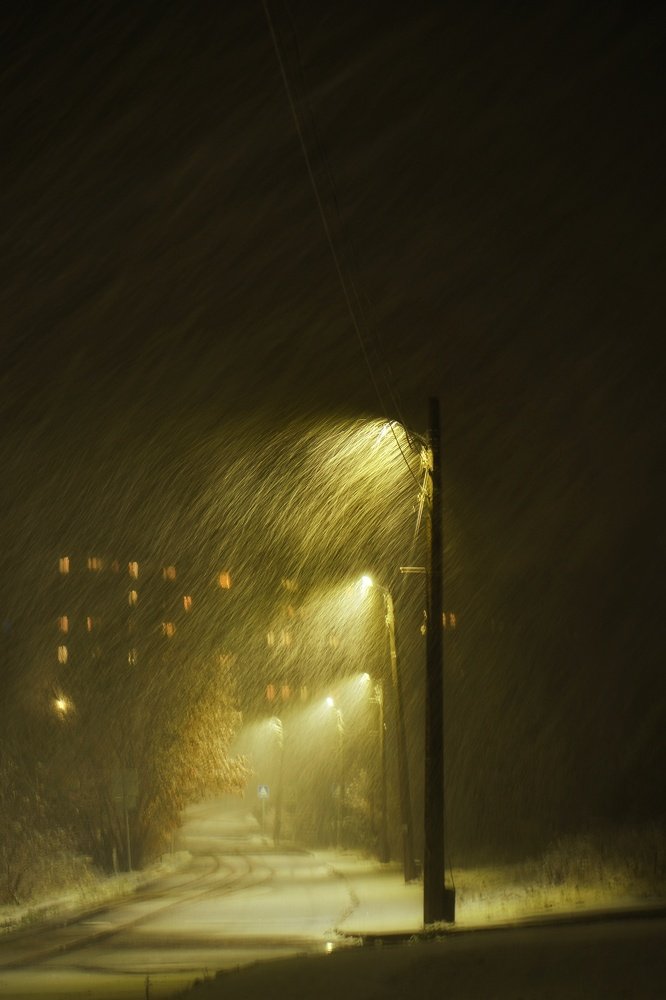 Photograph by Алина