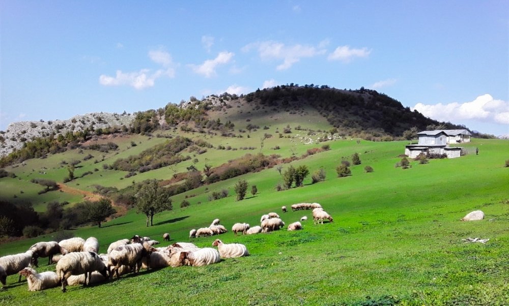 Photograph by Mojtaba Ranjkesh