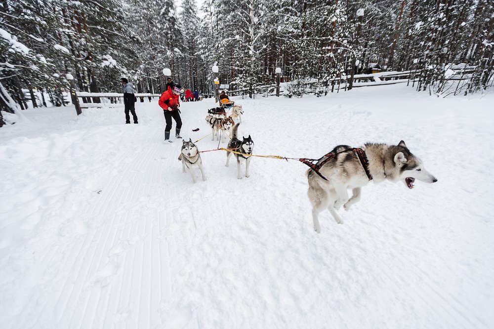 Photograph by Василий Бережной