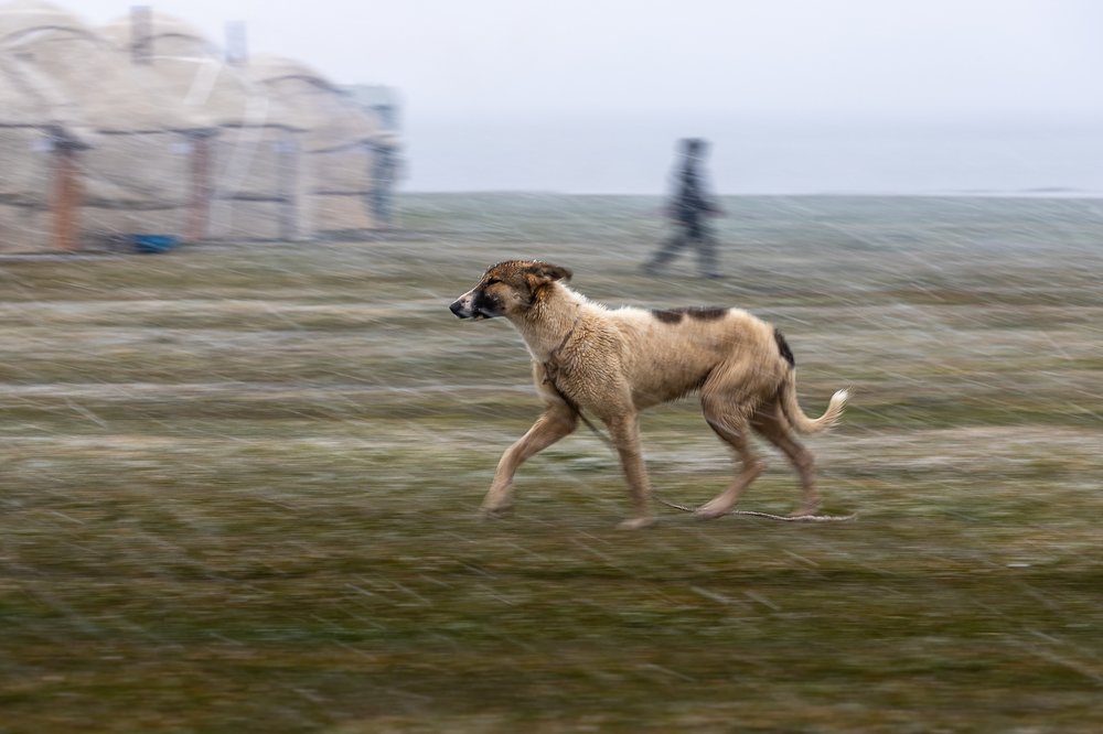 Photograph by Василий Бережной