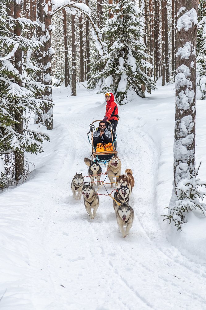 Photograph by Василий Бережной