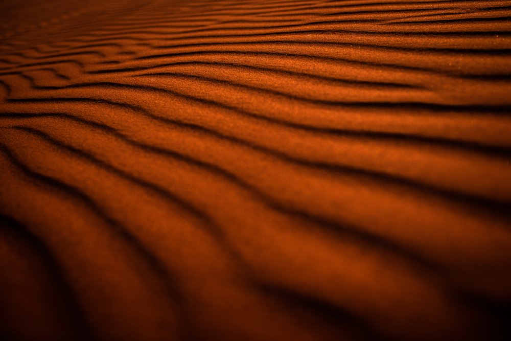 Photograph by ho3in afroozeh