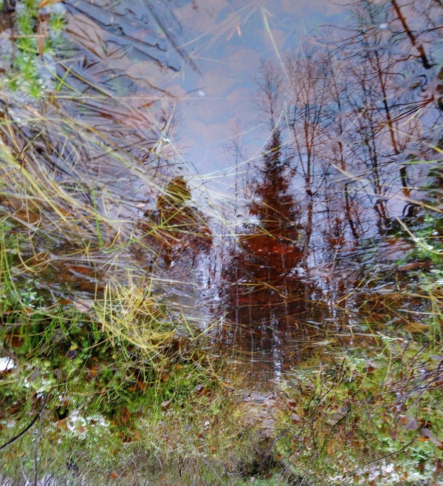 Зеркала