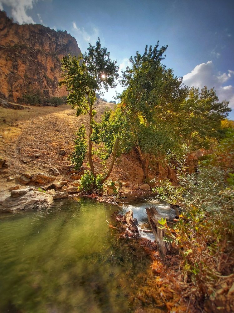 Photograph by Yahya Kakapour