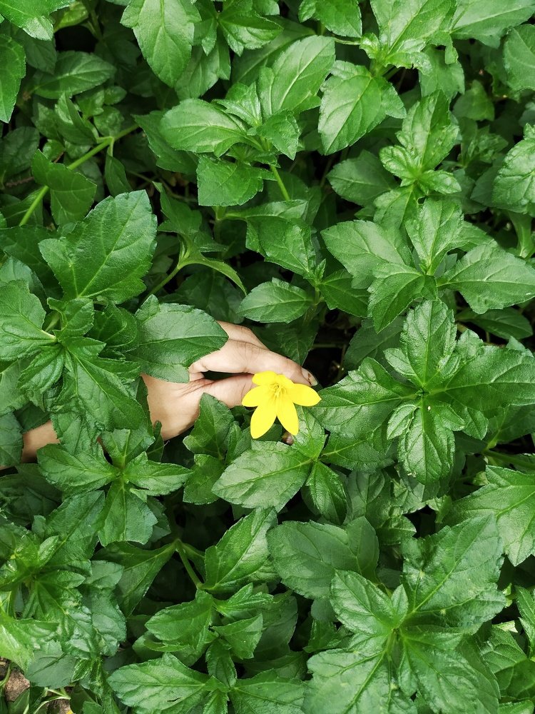 Photograph by Suruchi Mishra