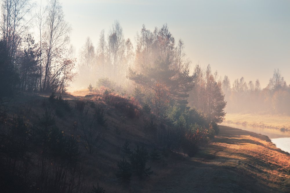 Photograph by Игорь Зайцев