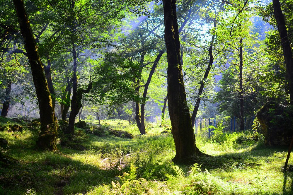 Photograph by Hikmat Alayashi