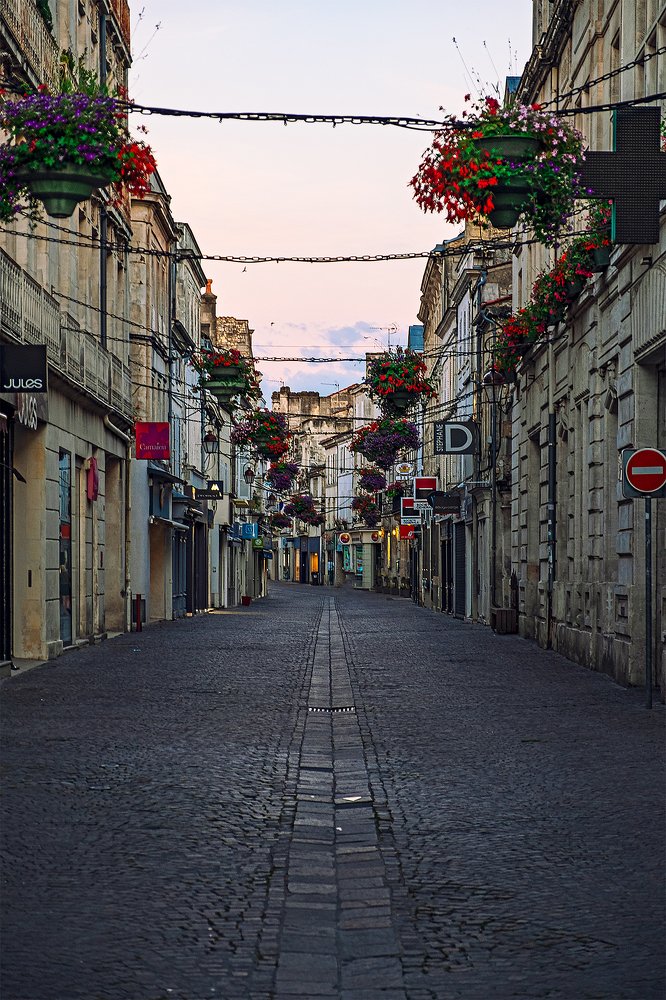 Фотография автора 