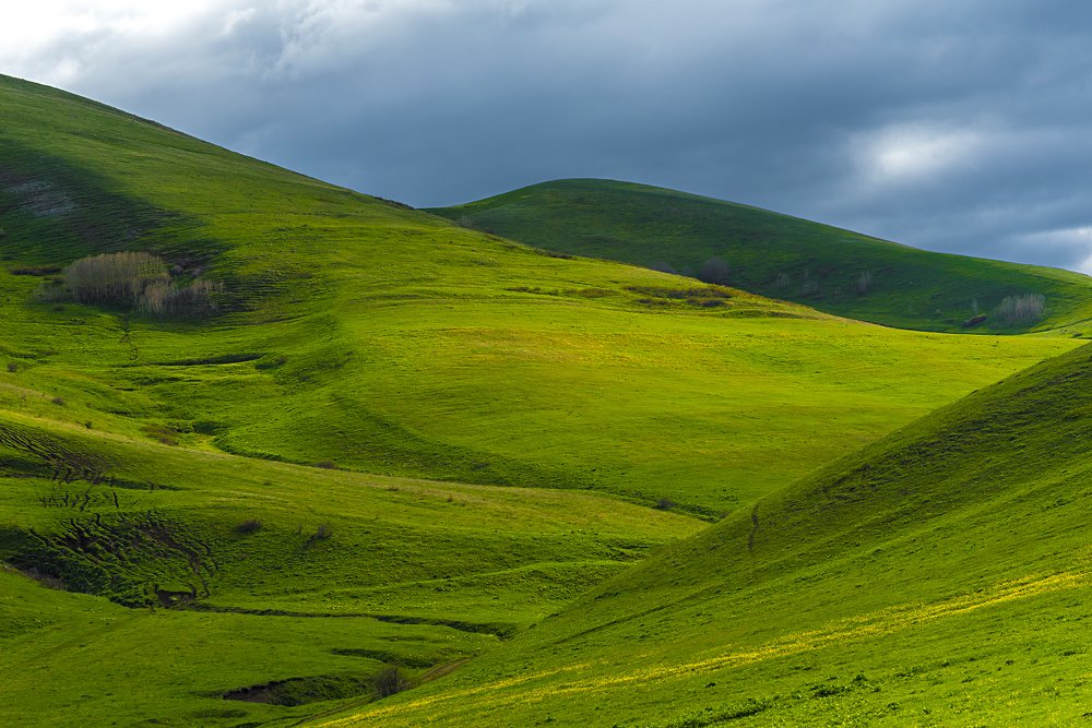 Photograph by Sergey Lexin