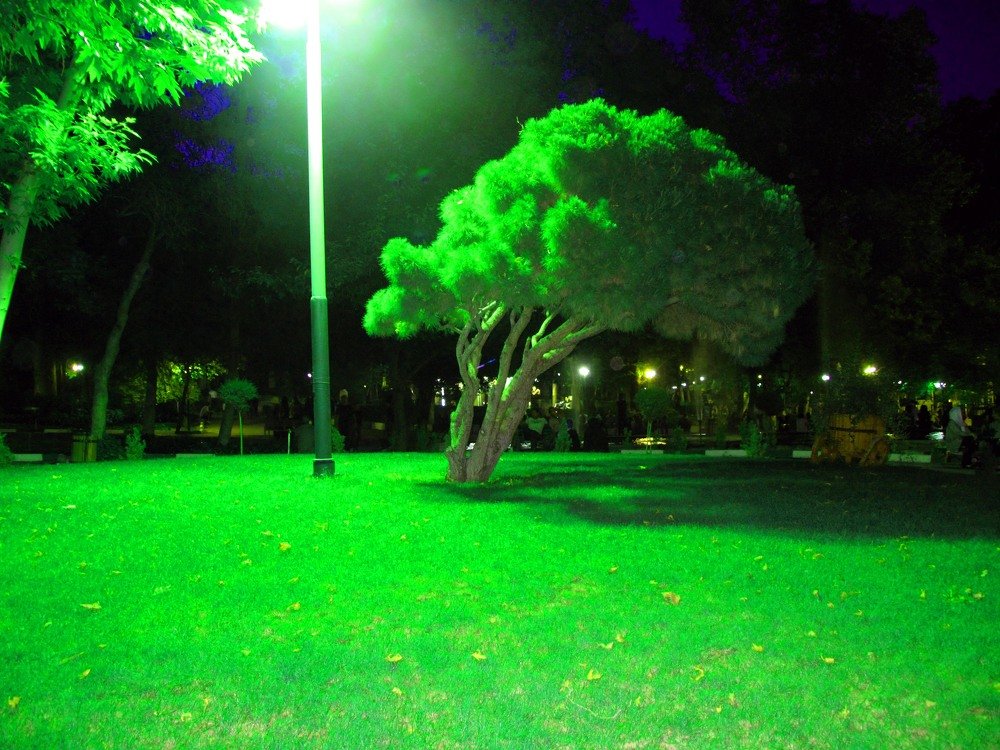 Photograph by javidh