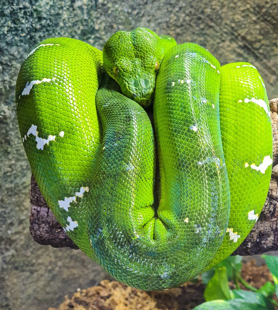 Photograph by Марина Тарасова