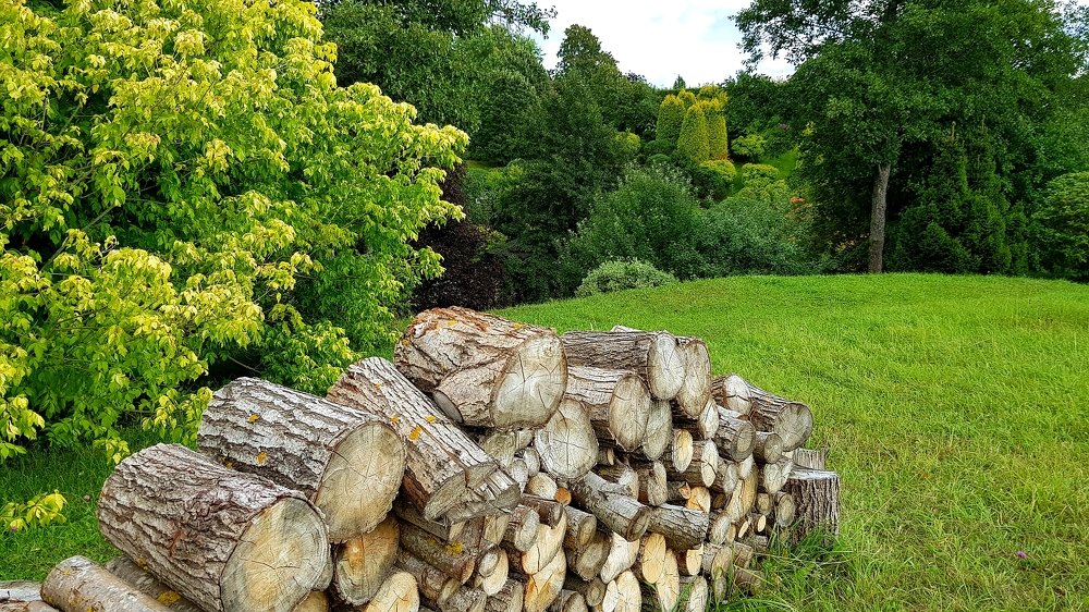 Photograph by Larisa Gella