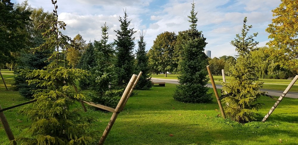 Photograph by Larisa Gella