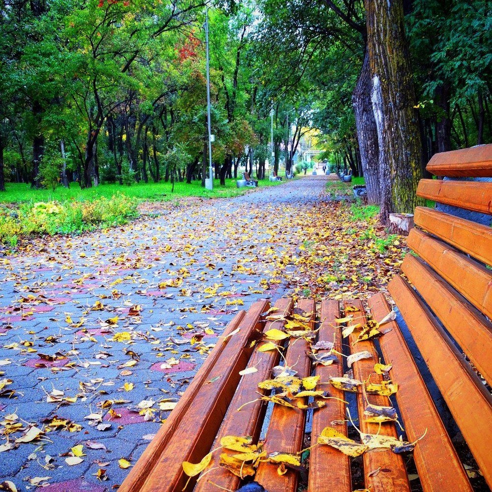 Тишина и красота покровской осени.