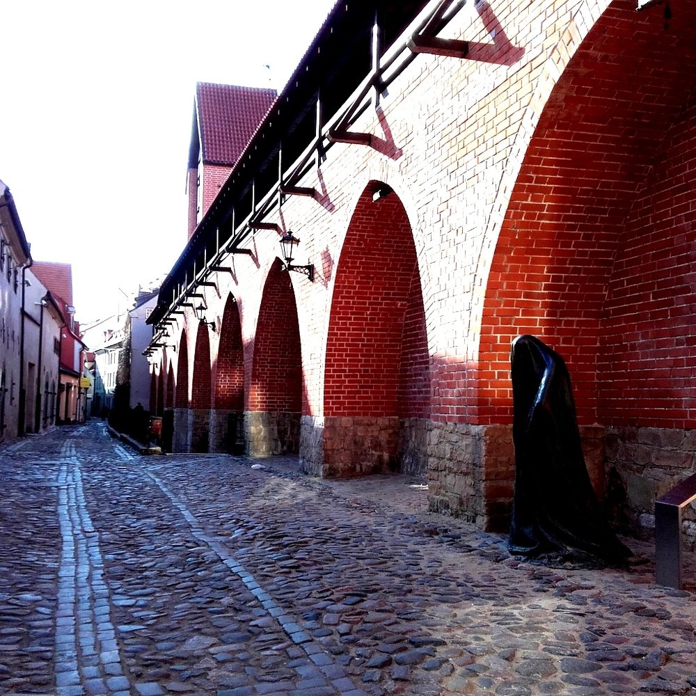 Photograph by Larisa Gella