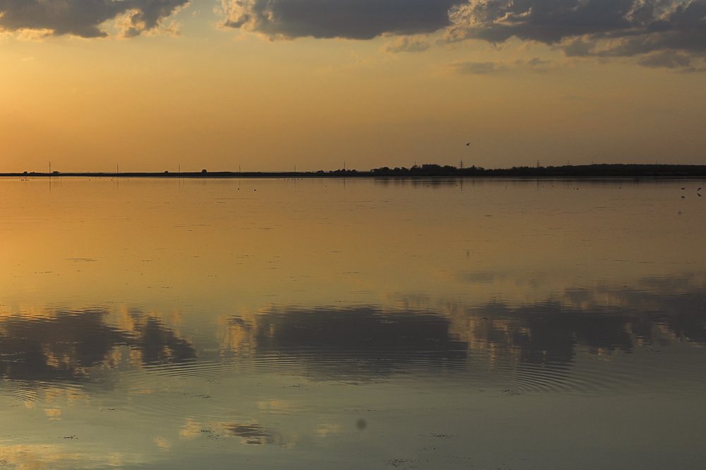 Photograph by Виктория Бурова