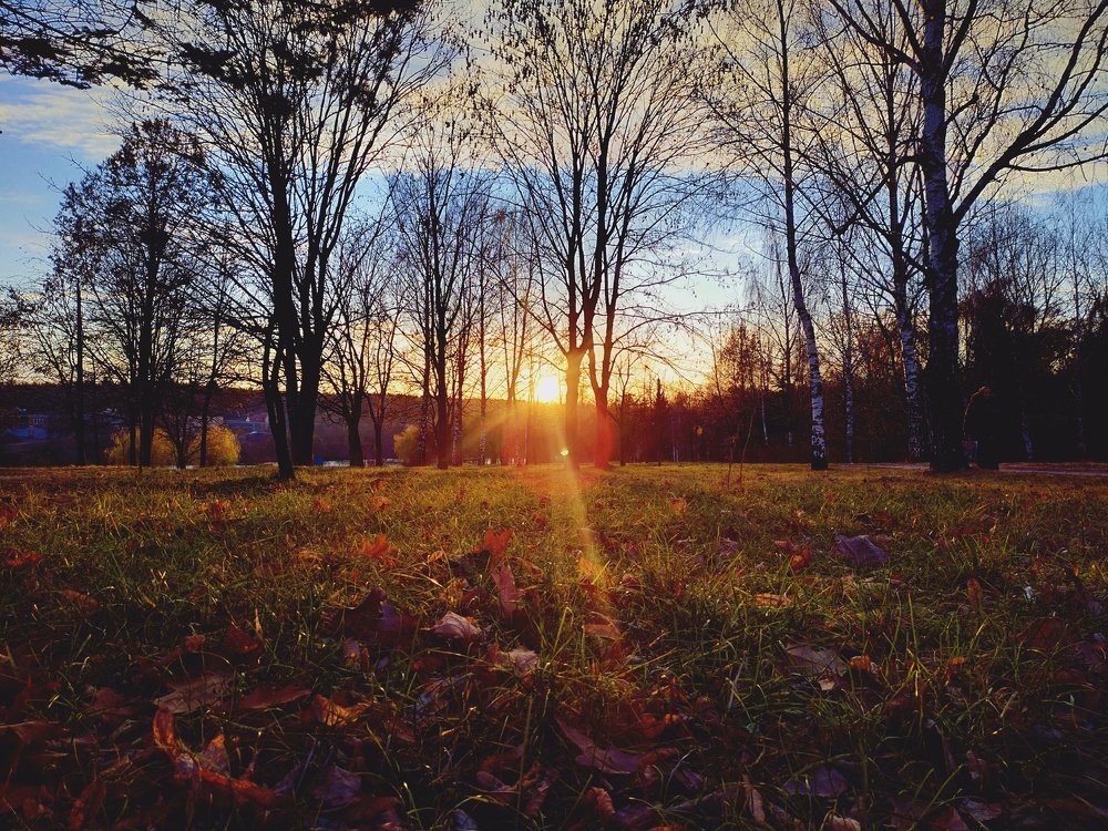 Photograph by Юрий Карач