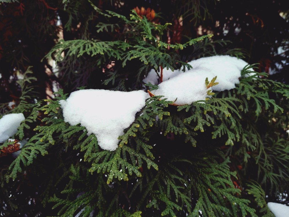 Photograph by Юрий Карач