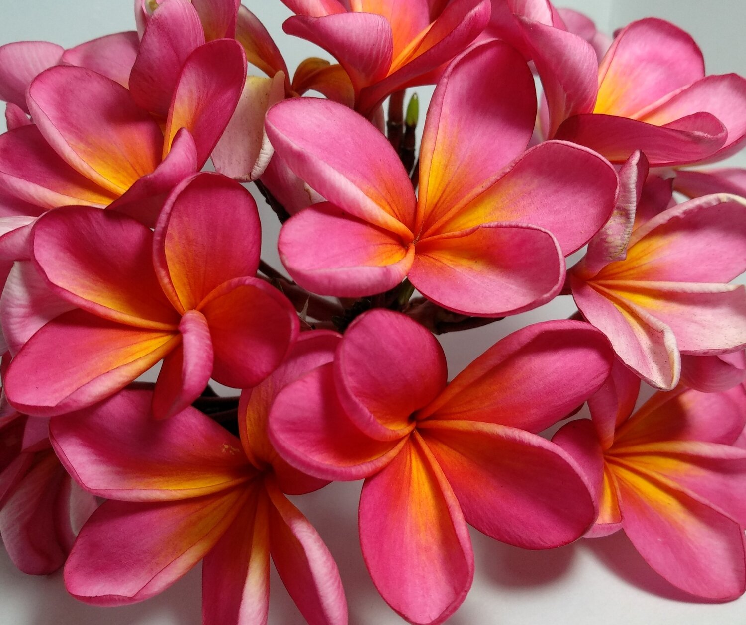 Photo #3798763