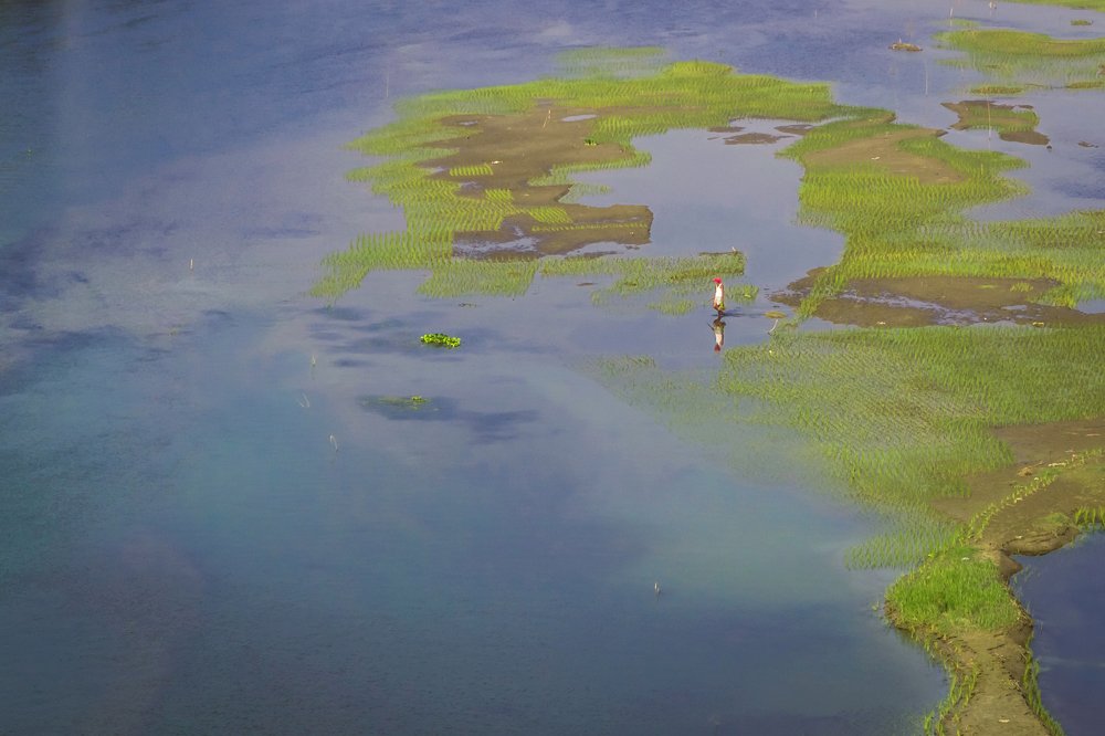 Photograph by Md. Tanvir Mehedi Shovon