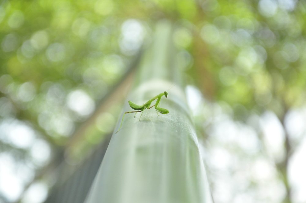 Photograph by Лиза Ананьева