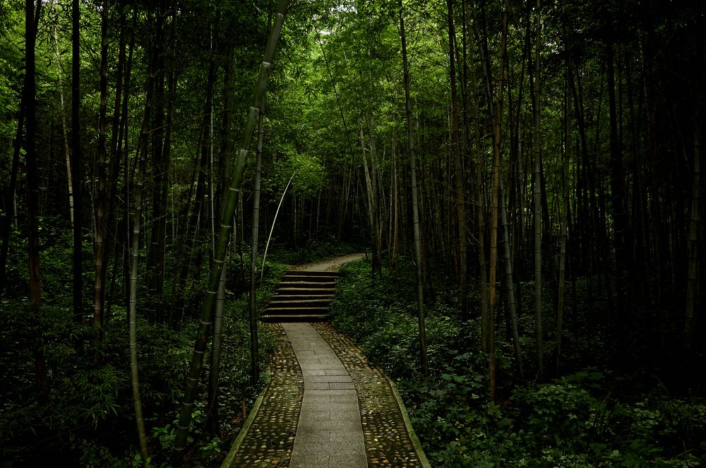 Photograph by Лиза Ананьева