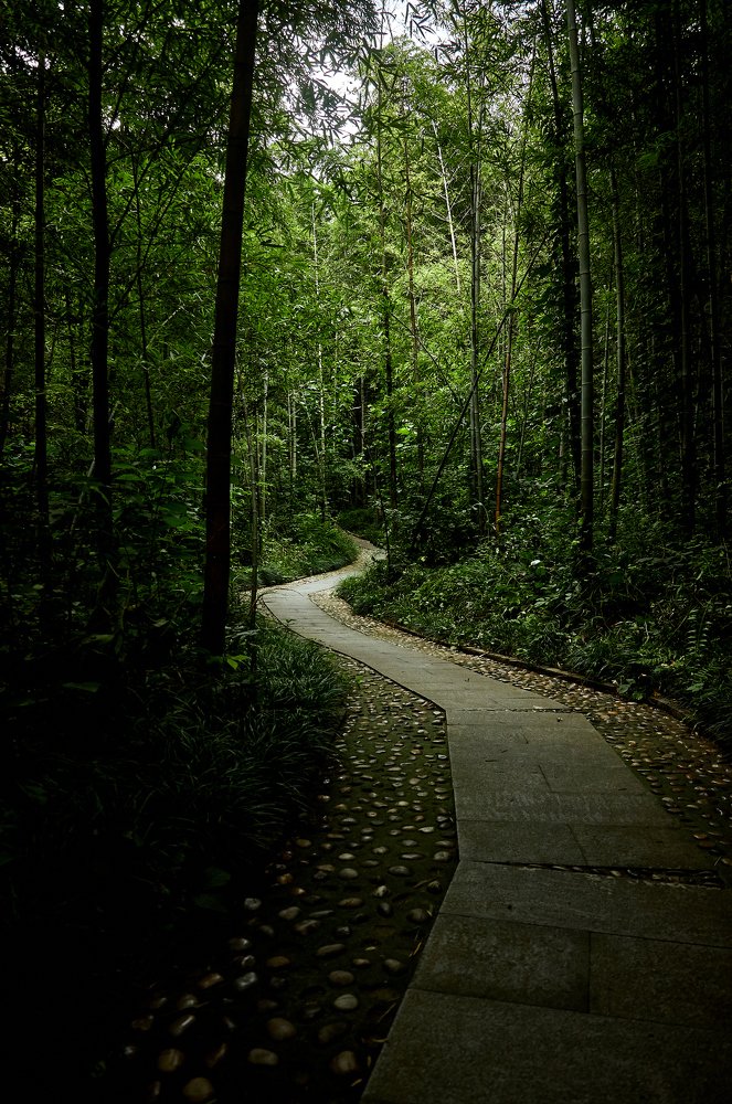 Photograph by Лиза Ананьева