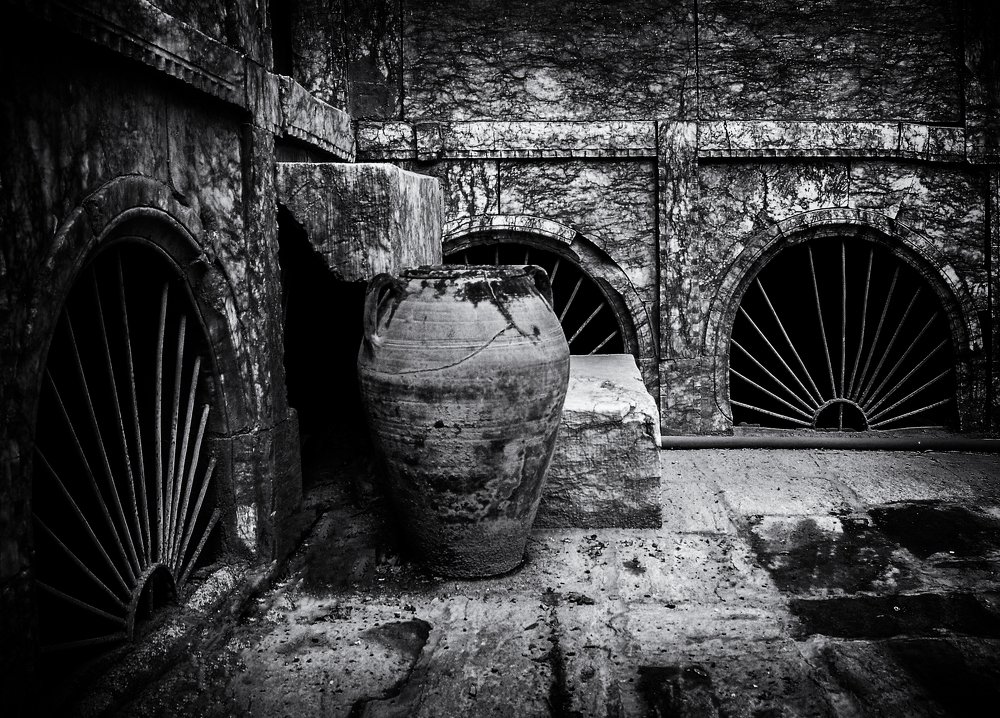 Photograph by mohamad jalili