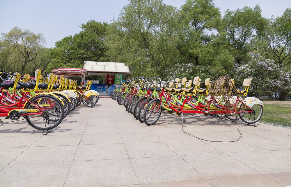 Фотография автора Петр Вензель