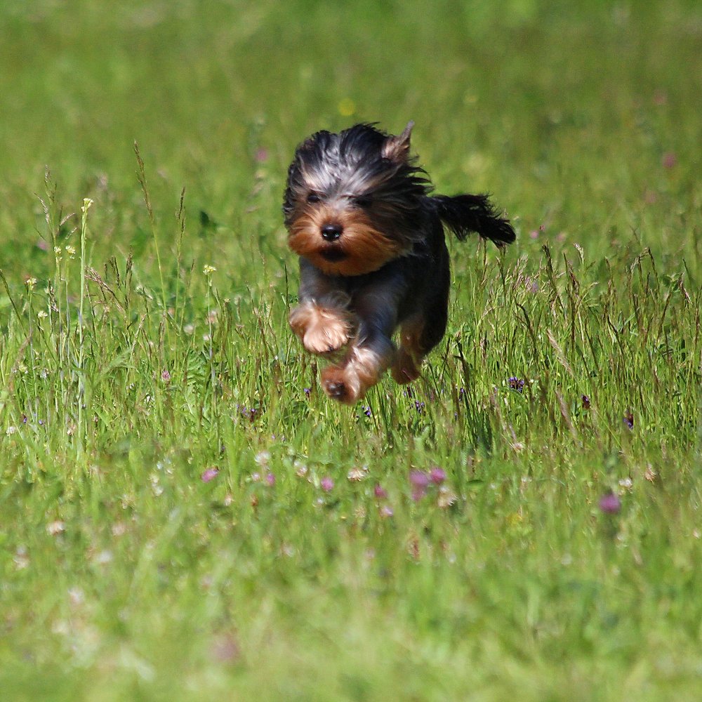 Photograph by Александр Юдин