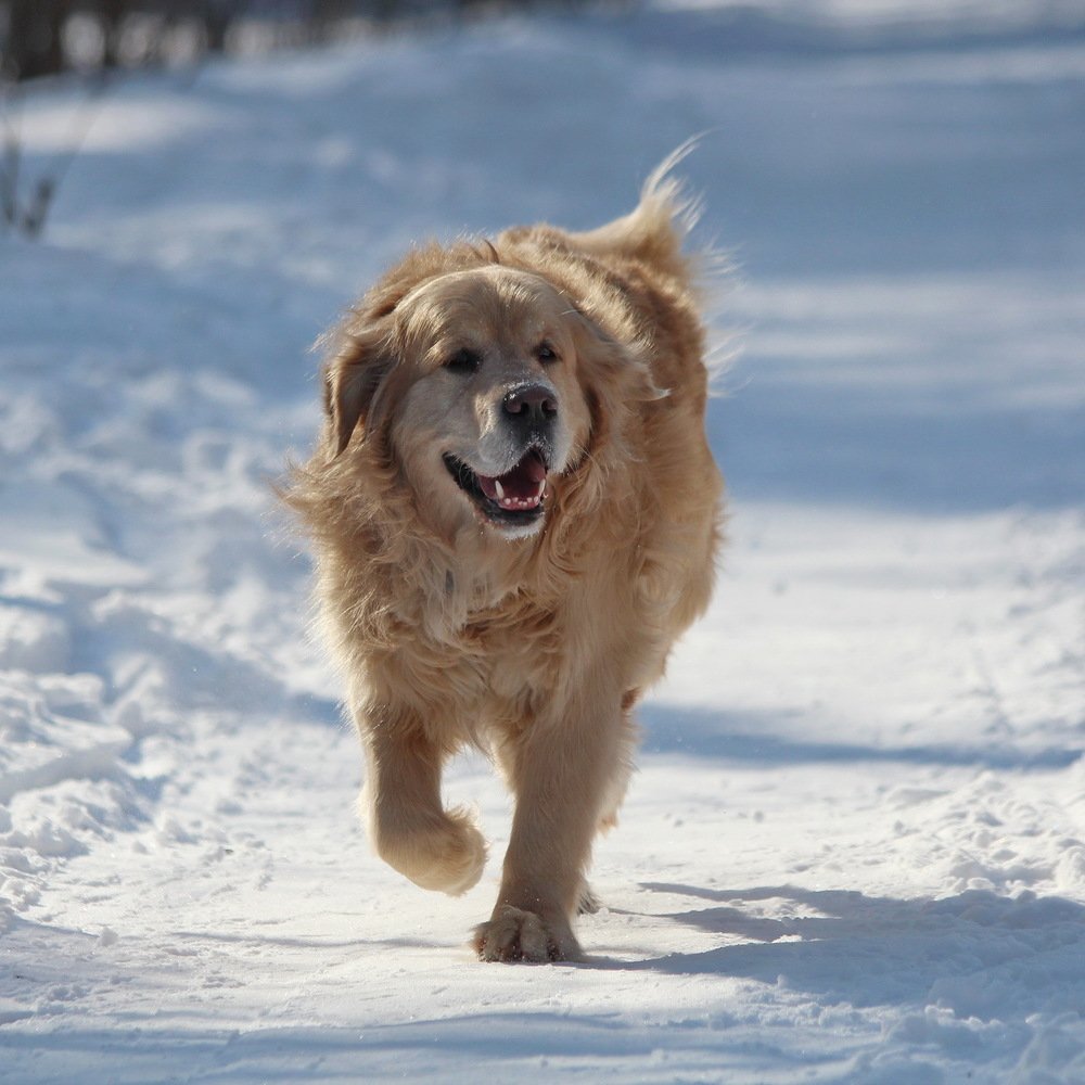 Photograph by Александр Юдин