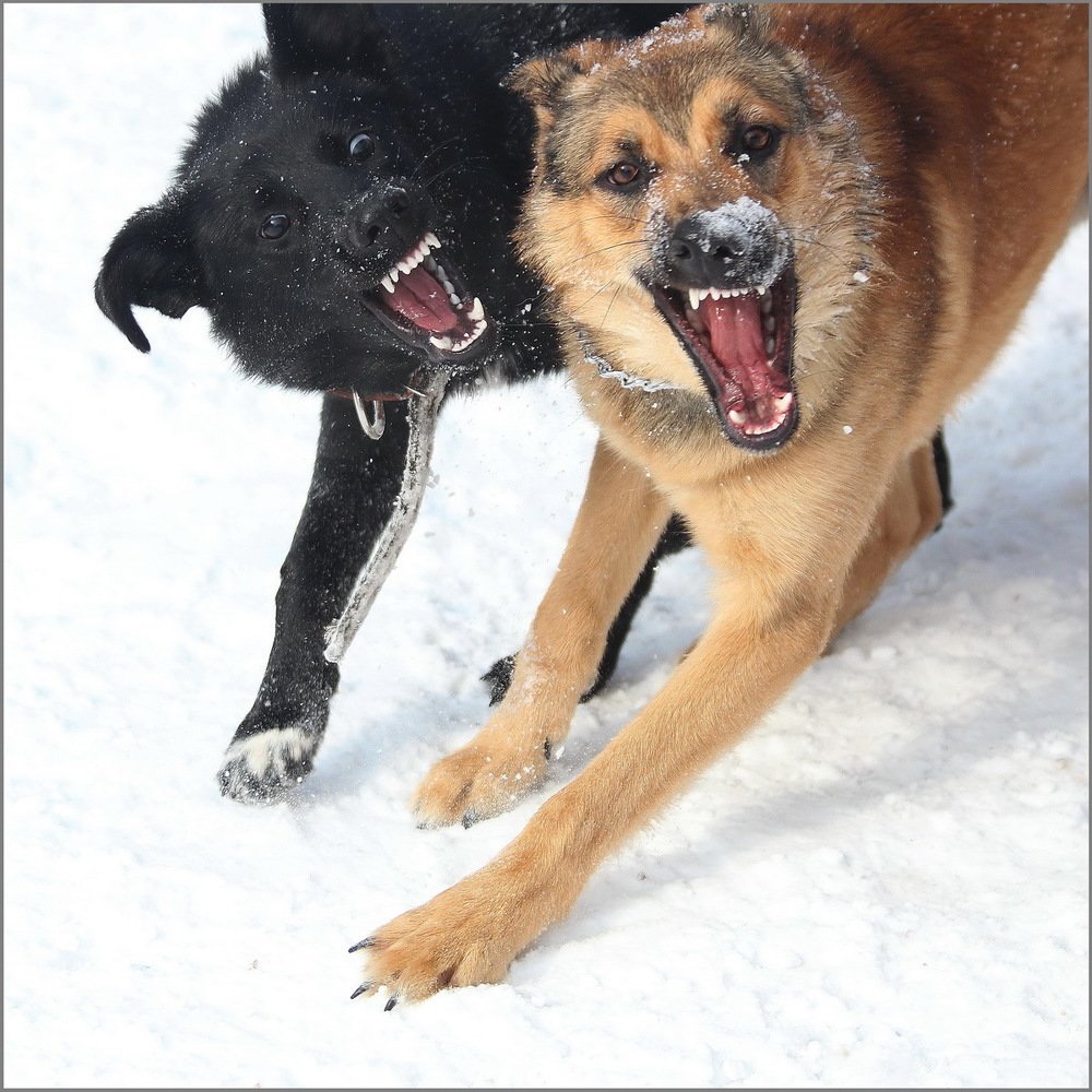 Photograph by Александр Юдин