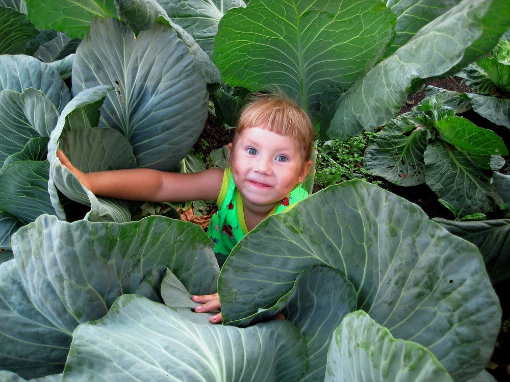 Photograph by Александр Юдин