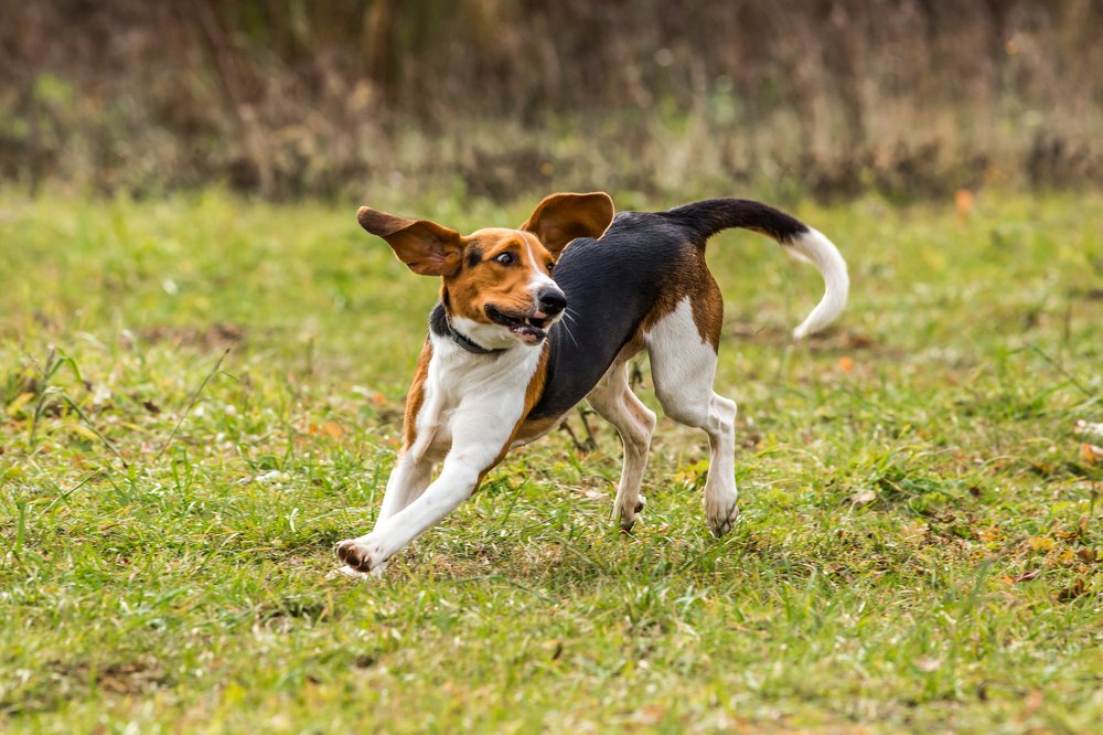 Фотография автора Vyacheslav Lozhkin