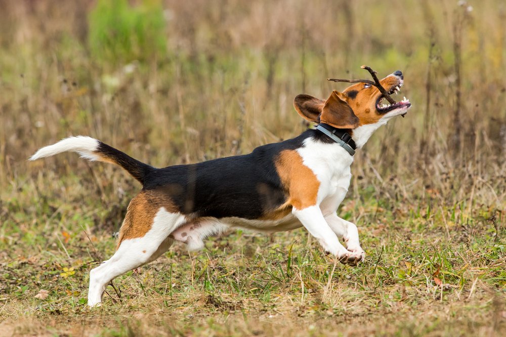 Фотография автора Vyacheslav Lozhkin