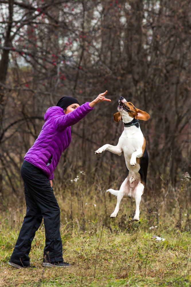 Фотография автора Vyacheslav Lozhkin